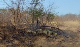 大型吃瓜現(xiàn)場搞笑,笑料橫飛，笑不活了！