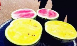 吃瓜爆料每日大瓜免費,吃瓜爆料每日大瓜免費，獨家內幕等你來探