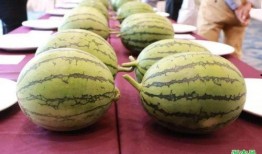 浙岱吃瓜,浙岱地區特色美食“吃瓜”文化探秘