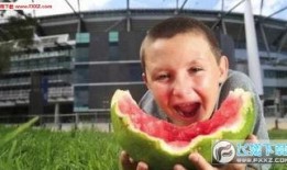 少年吃瓜王,揭秘娛樂圈幕后真相