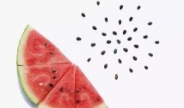 胃吐了可以吃貝貝瓜