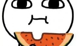 我吃瓜英語,一場跨文化交流的趣味之旅