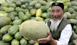 哈密瓜怎么吃能更甜一些,解鎖更甜口感的方法