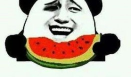 吃瓜群眾的韓語,吃瓜群眾視角下的韓流風云