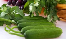 夏天吃瓜的歌,跟隨歌曲感受清涼一夏