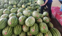 吃瓜山寨品,模仿潮流還是抄襲侵權？