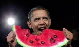 源兒吃瓜,揭秘娛樂圈幕后故事