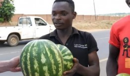 吃瓜人在洛杉磯,吃瓜人的美食之旅