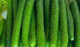 吃瓜的包谷,揭秘娛樂圈的甜蜜與苦澀