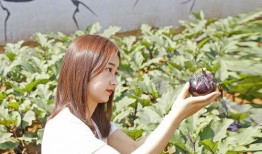 小外孫女吃瓜,小外孫女吃瓜趣事多