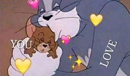 吃瓜湯姆貓頭像,揭秘吃瓜湯姆貓的趣味生活