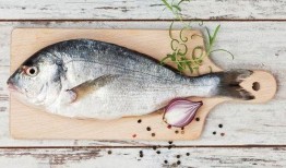 帶你吃瓜解說魚類,揭秘魚類的多樣世界