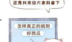 吃瓜群眾打卡真相,揭秘吃瓜群眾打卡背后的真相