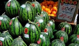 多人吃瓜怎么切,多人共享美食的切割藝術