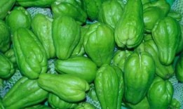 智慧的吃瓜,洞察世間百態