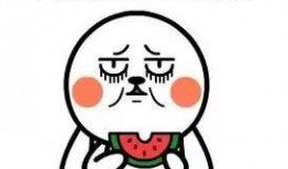 吃瓜都用什么網(wǎng)絡(luò)用語,揭秘網(wǎng)絡(luò)吃瓜用語背后的趣味與智慧