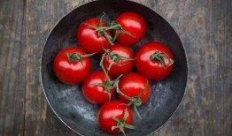 吃番茄可以吃茄瓜嗎,同源美味，能否共享餐桌？