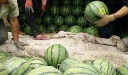 學校近期熱門吃瓜事件