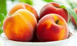 吃瓜 桃子成語(yǔ)