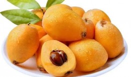 帶你吃瓜枇杷飲料