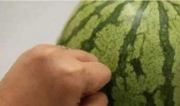 學(xué)伴吃瓜,揭秘校園里的那些“瓜”