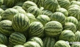 吃瓜中心吃最真實(shí)的瓜,吃瓜中心直擊最真實(shí)瓜料