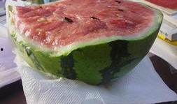 吃瓜不吃瓜有啥用處嗎