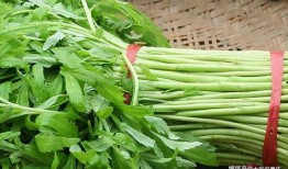 蒿爸吃瓜視頻,揭秘娛樂圈幕后故事