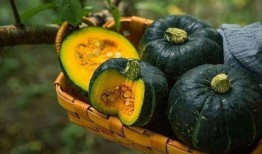 大栗子吃瓜,揭秘瓜界奇聞軼事