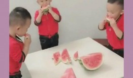 吃瓜三胞胎,揭秘娛樂圈的甜蜜“瓜田”生活