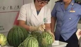 群眾看戲吃瓜直播,群眾看戲吃瓜，娛樂狂歡背后的社會(huì)現(xiàn)象