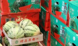 深圳中原吃瓜事件,一場職場風波的真相揭秘