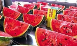 突擊吃瓜故事,一場突如其來的突擊吃瓜大冒險