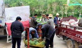 沂南吃瓜群眾,揭秘當?shù)鬲毺仫嬍澄幕?></a></li>
			  		 </ul>
				        <div   id=