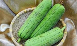 瓜瓜吃瓜全文,揭秘娛樂圈幕后真相