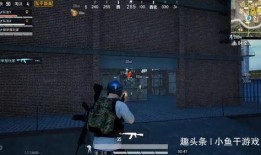 吃瓜電梯戰神,揭秘網絡紅人的崛起之路