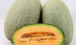 月子可以吃哈密瓜嘛,月子期間適宜食用哈密瓜嗎？