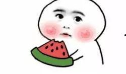 我帶全家吃瓜全集,帶全家吃瓜全集溫馨回顧