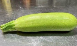 只吃葫蘆瓜可以吃的嗎,揭秘葫蘆瓜的營養(yǎng)與食用價(jià)值