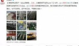 無(wú)死角吃瓜群眾,揭秘娛樂圈幕后真相