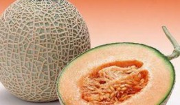 endro吃哈密瓜,Endro與哈密瓜的甜蜜邂逅