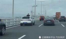 深中通道吃瓜,揭秘超級工程背后的吃瓜故事