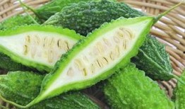 安中醫吃瓜視頻,揭秘校園生活趣味瞬間