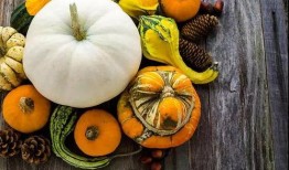 優(yōu)雅多才的吃瓜,揭秘娛樂圈幕后故事