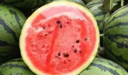 西瓜你吃瓜了嗎,你吃瓜了嗎？