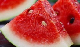 不尋吃瓜全文,一場關于真相與輿論的深度探討