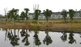 眉山濕地公園吃瓜,夏日消暑吃瓜好去處