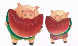 豬吃臥瓜,探尋豬與臥瓜的奇妙緣分