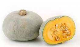 板栗瓜怎么吃啊