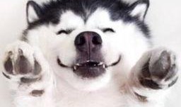 紅臉吃瓜群眾視頻,揭秘網絡熱點的背后真相